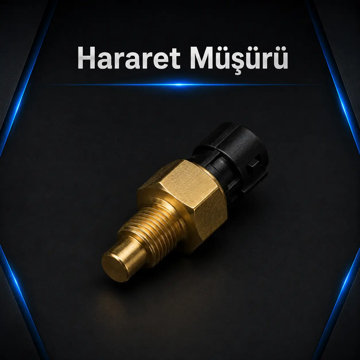 Hararet Müşürü